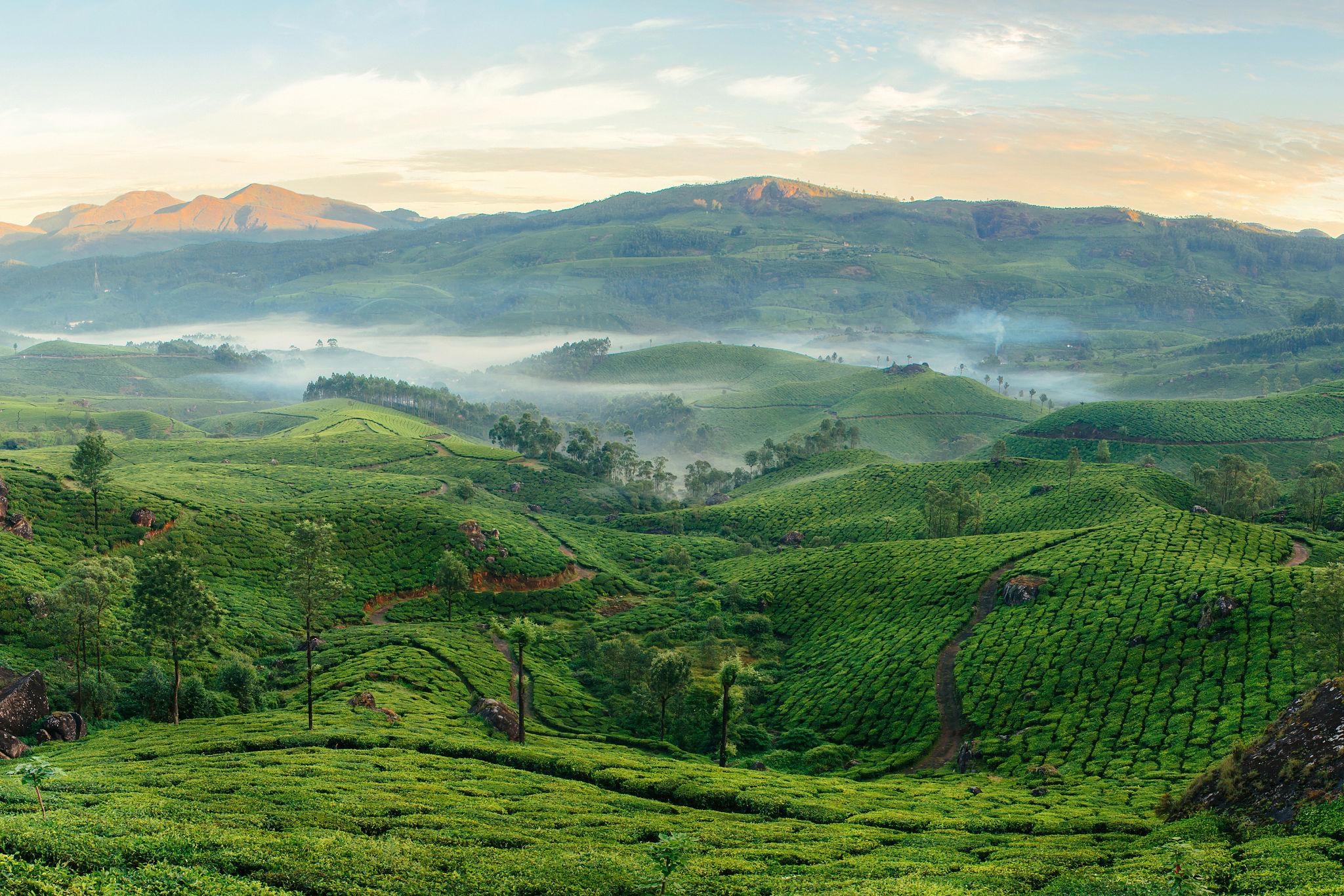 Munnar Kerala