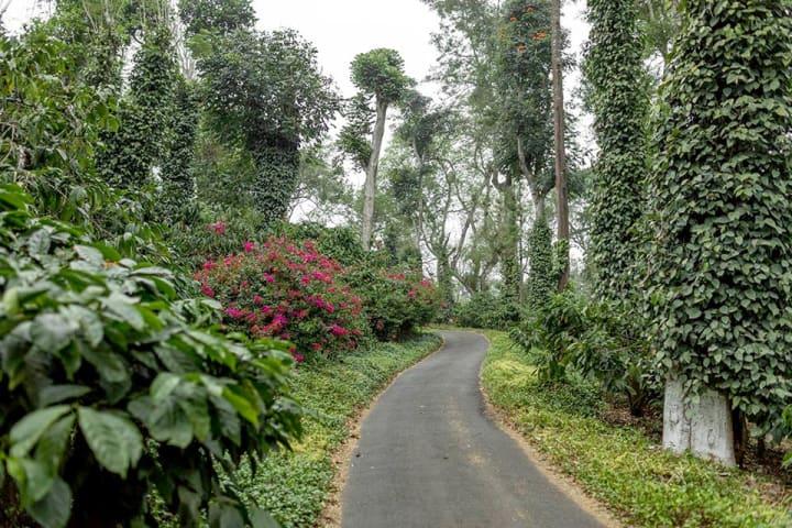 Complete South India Tour